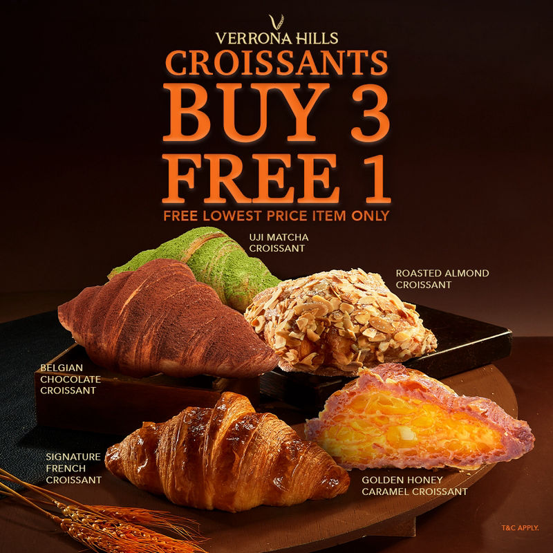 Verrona Hills promotion artwork